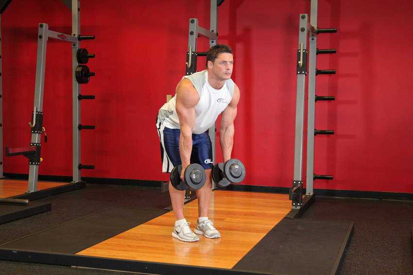 Bent Over Two-Dumbbell Row With Palms In