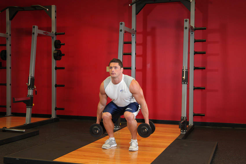 Dumbbell Squat