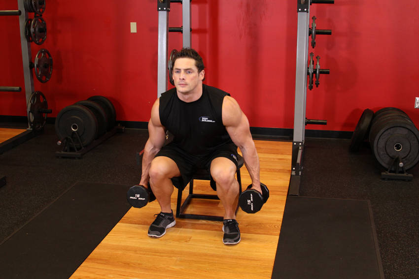 Dumbbell Squat To A Bench
