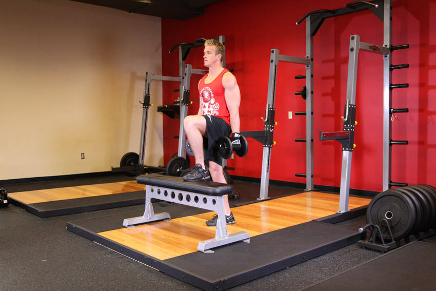 Dumbbell Step Ups