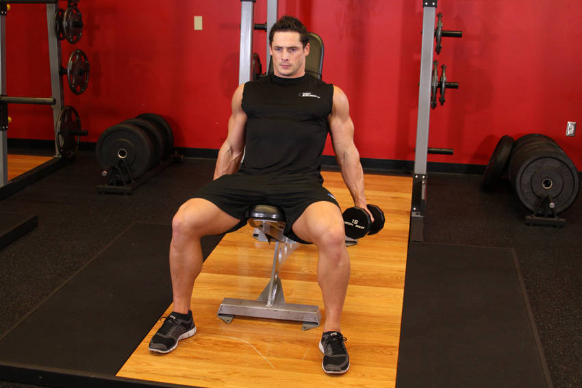 Flexor Incline Dumbbell Curls