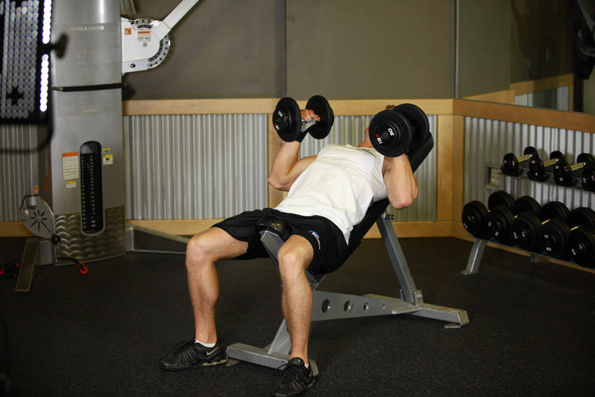 Hammer Grip Incline DB Bench Press