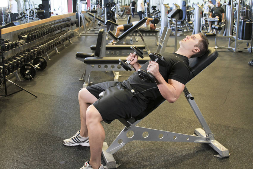Incline Hammer Curls