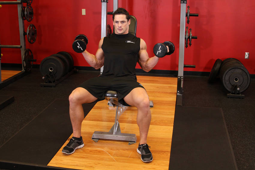 Incline Inner Biceps Curl
