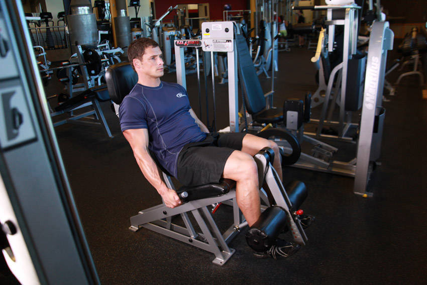 Leg Extensions