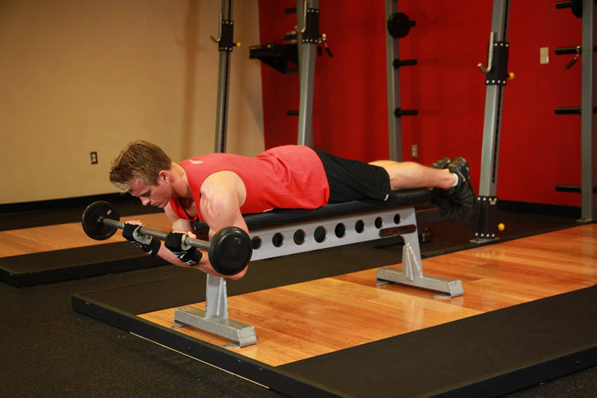 Lying High Bench Barbell Curl