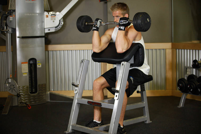 Preacher Curl