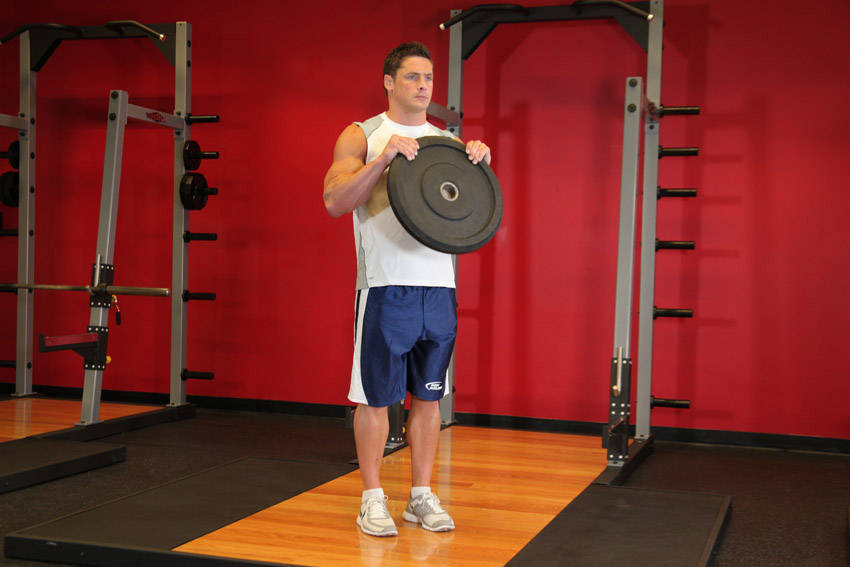 Reverse Plate Curls