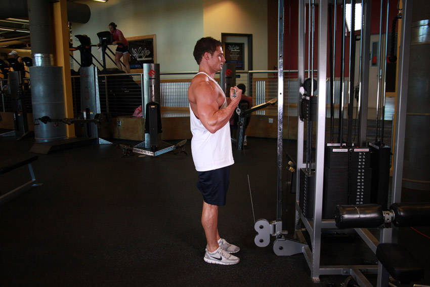 Standing Biceps Cable Curl