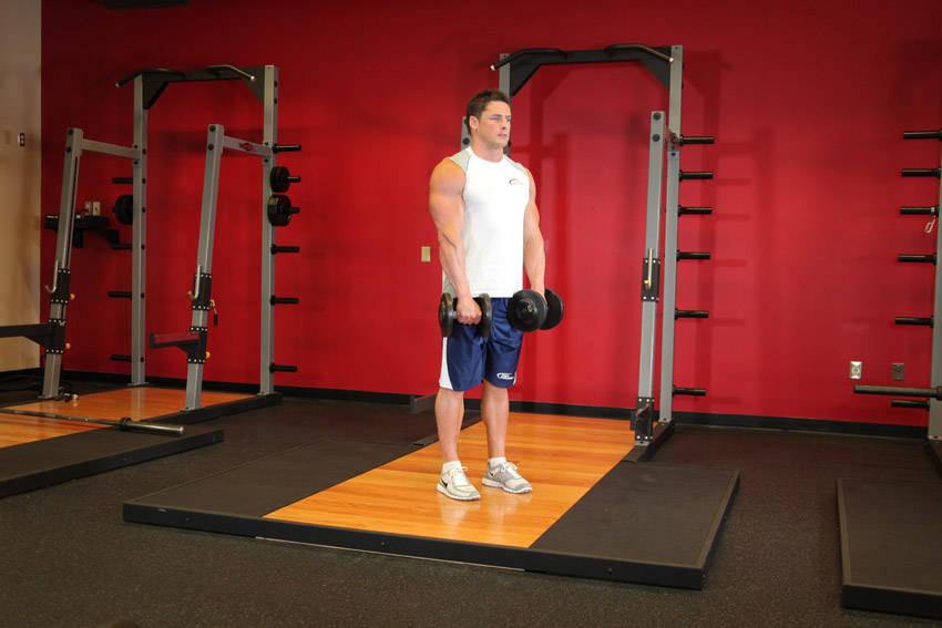 Standing Dumbbell Reverse Curl