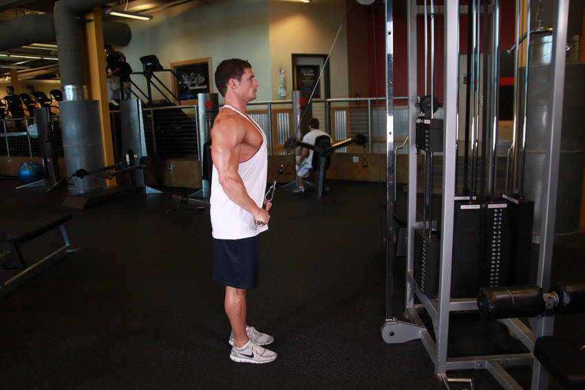 Straight-Arm Pulldown
