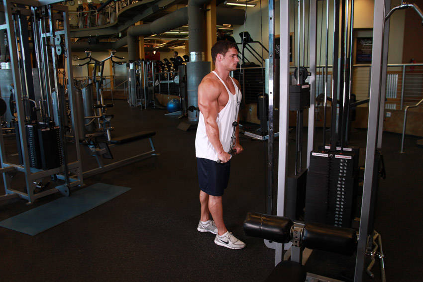 Triceps Pushdown