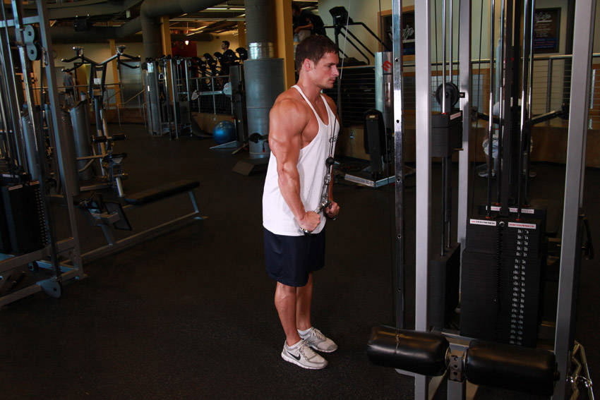 Triceps Pushdown - V-Bar Attachment